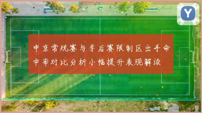 申京常规赛与季后赛限制区出手命中率对比分析小幅提升表现解读