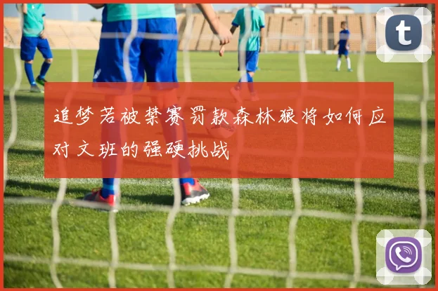 追梦若被禁赛罚款森林狼将如何应对文班的强硬挑战