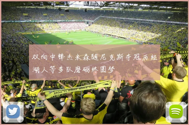 双向中锋杰米森随尼克斯夺冠历经湖人等多队磨砺终圆梦
